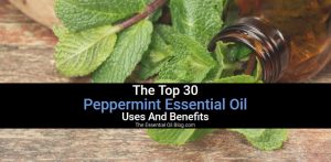 Top 30 Peppermint Oil Benefits Uses And How Peppermint Essential Oil Is ...